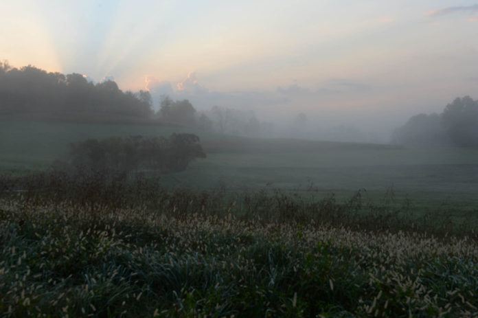 Morning Farm Fog